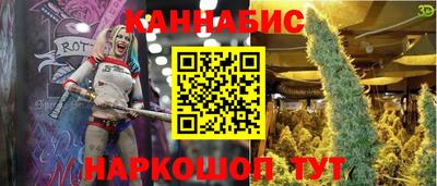 хмурый Новозыбков