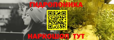 хмурый Новозыбков