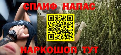 шишки Новокубанск
