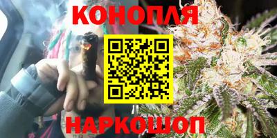 шишки Новокубанск