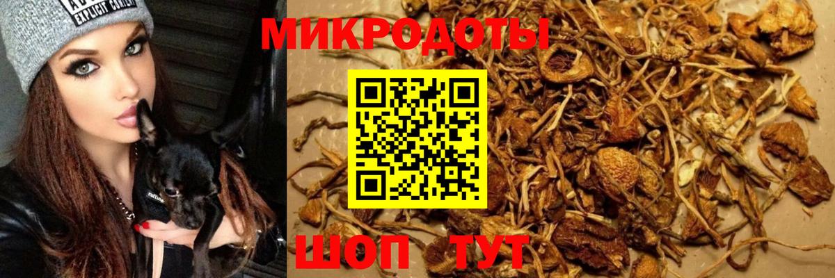 Псилоцибиновые грибы Cubensis  Вход с VPN  где купить наркоту  Россошь 