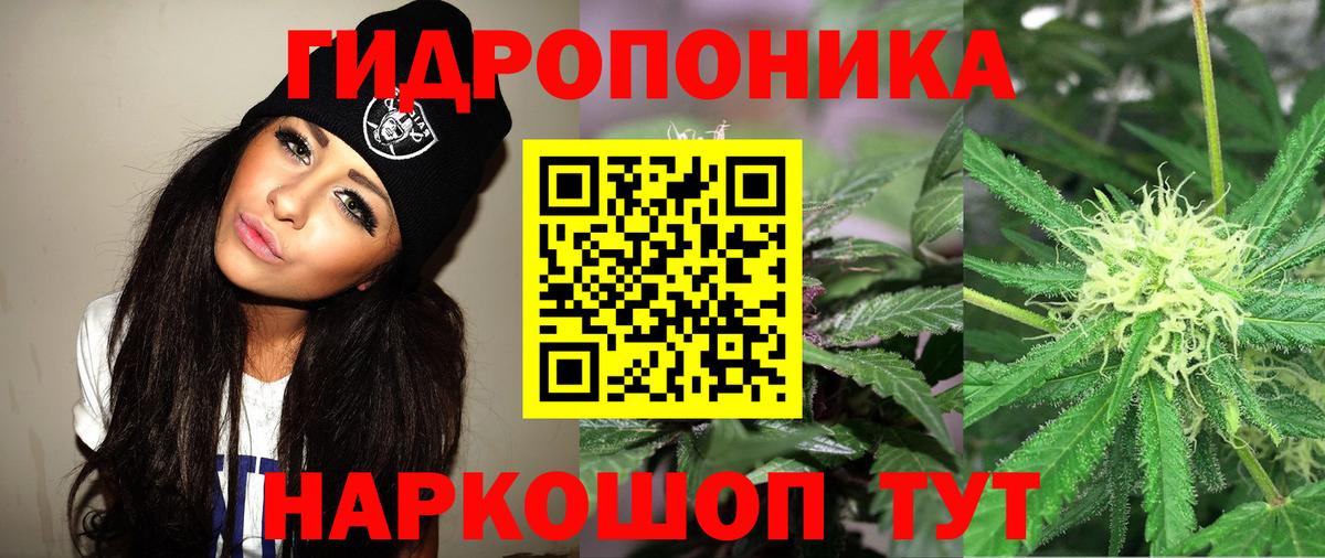 Россошь  МАРИХУАНА White Widow  Шишки марихуана THC 21%  Вход с VPN 